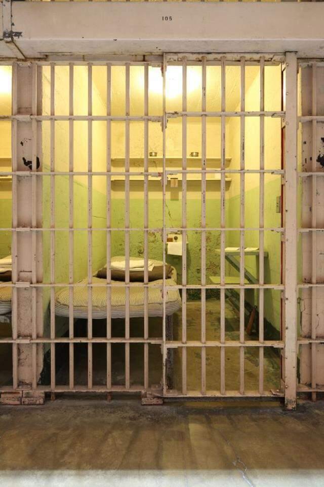 Köpekle cinsel ilişkiye girerken görüntülenen kadın 20 yıl hapis cezasına çarptırıldı