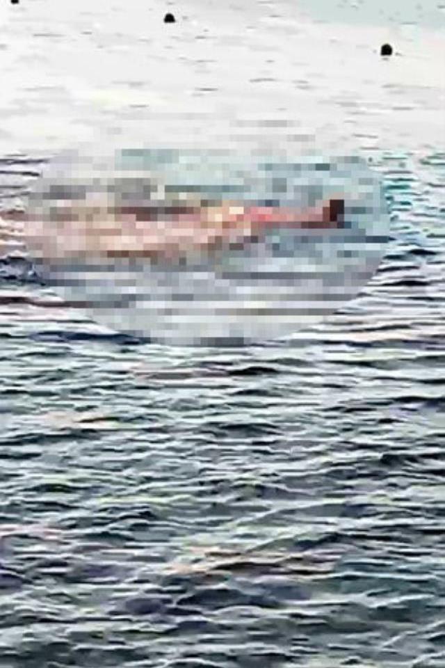 Köpekbalığının kanlı saldırısında parçalara ayrılan kadının ölümünde akılalmaz cankurtaran ihmali