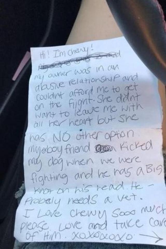 Terk edilen yavru köpeğin sahibi tarafından bırakılan gizemli not, okuyanların yüreklerini parçaladı