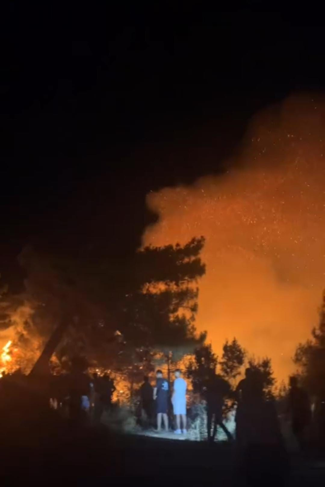 Hatay'da ormanlık alanda yangın çıktı