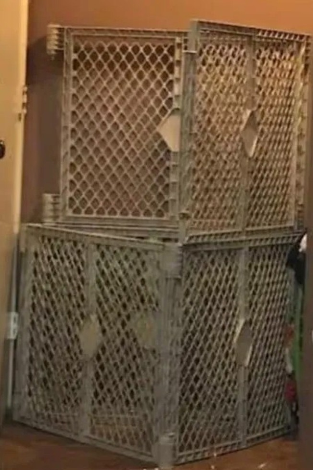 Teksas'ta dehşet evi: Evlatlık çocuklarını kafese kapatan anneye 80 yıl hapis