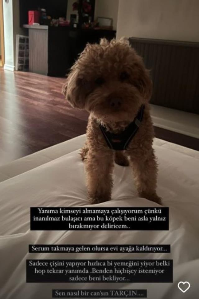 Çağla Şıkel kötü haberi böyle duyurdu