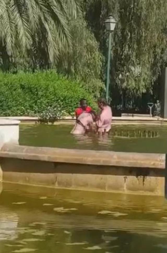 Yarı çıplak kadını parktaki havuzda boğmaya çalıştı! Nedeni olaydan garip