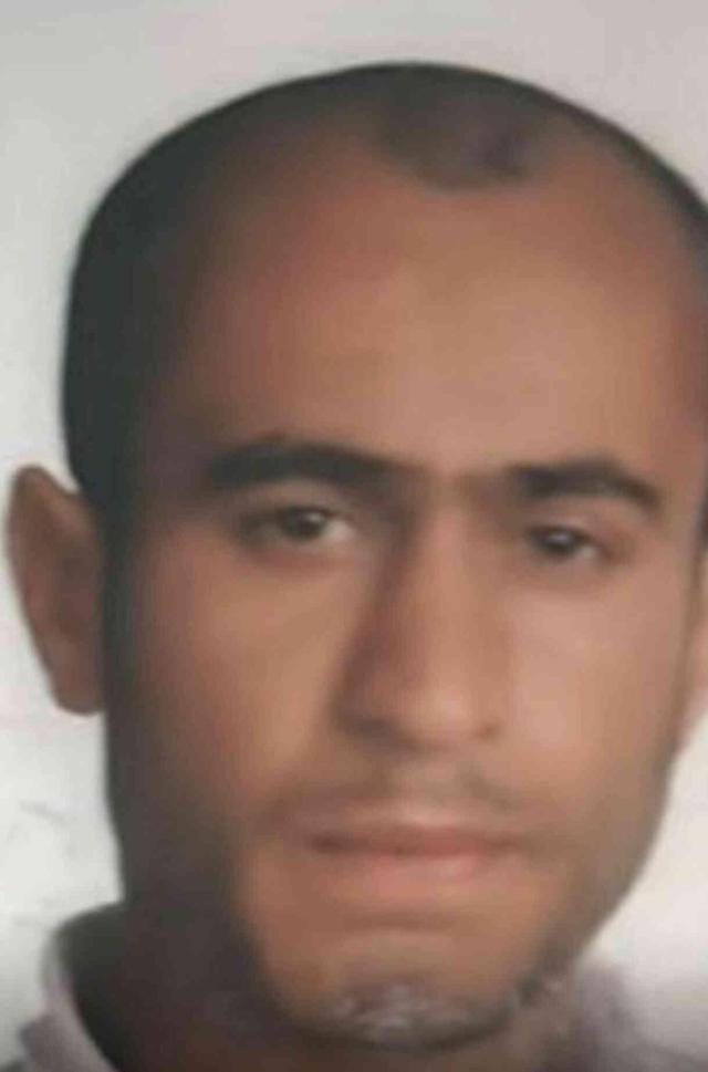 İstanbul'da korkunç olay! Sokak köpeklerinin saldırısına uğrayan adam feci şekilde can verdi