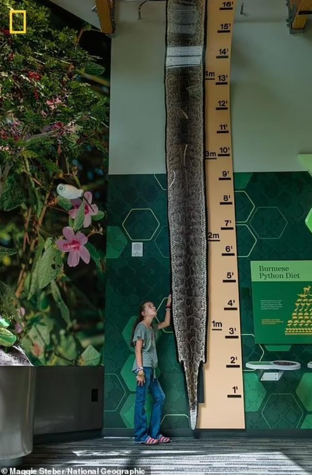 Ormana giden araştırmacılar neye uğradığını şaşırdı! Böylesini ilk defa gördüler