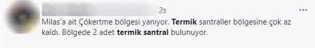 Milas'taki yangın bölgedeki termik santrallere yaklaşması panik yarattı