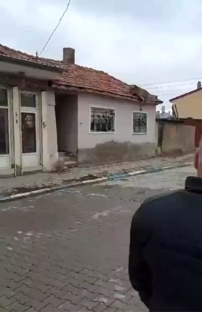 Sokak Köpeklerinden Kaçan Kızıl Geyik Çatıdan Düştü