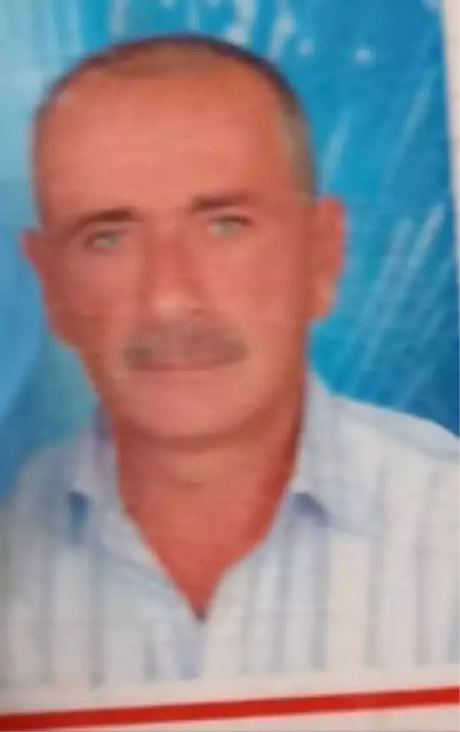 Otomobil, köprüden çaya uçtu: 3 ölü (2)
