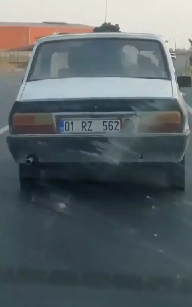 BUZAĞIYI OTOMOBİLİN ARKA KOLTUĞUNDA TAŞIDI