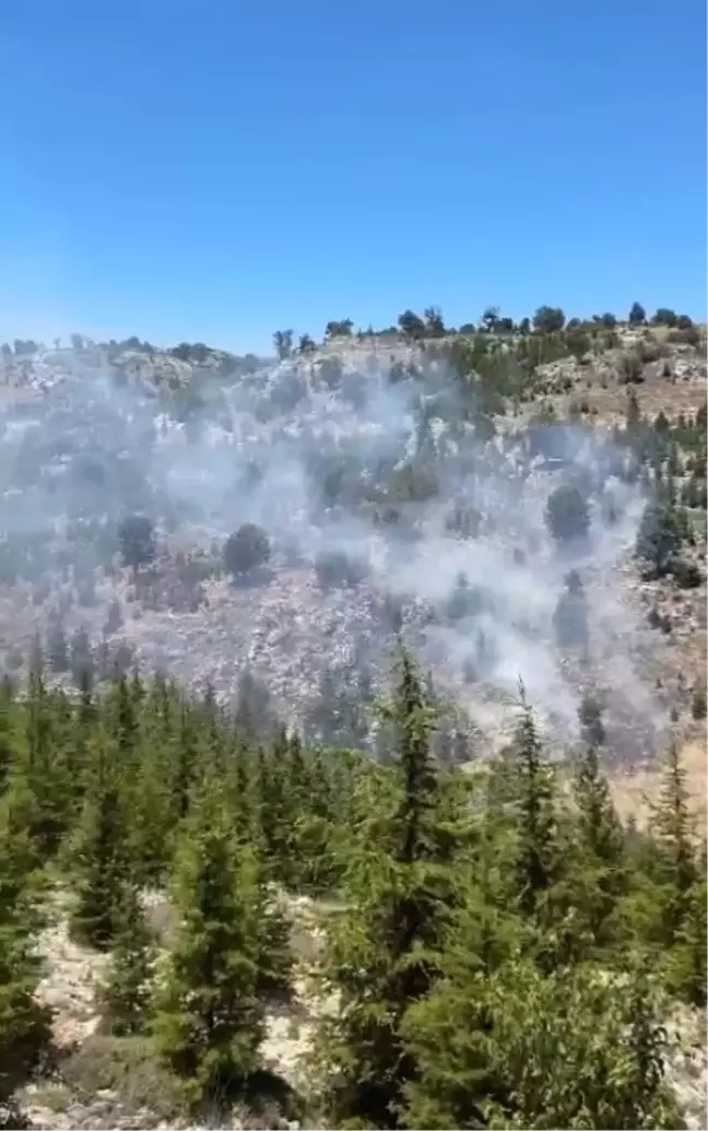 Mersin Gülnar'da Orman Yangını