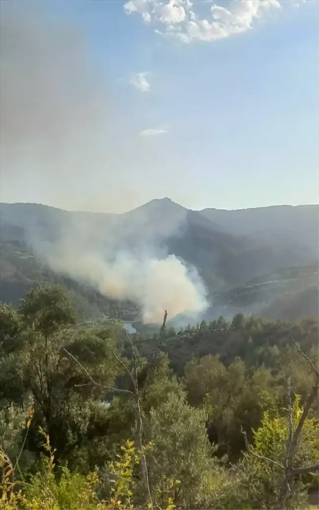 Silifke'de Orman Yangını Kontrol Altına Alınmaya Çalışılıyor