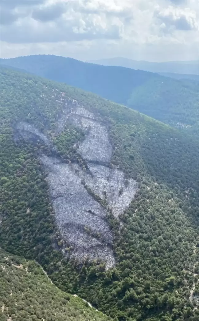 Balıkesir'deki yangın kontrol altına alındı