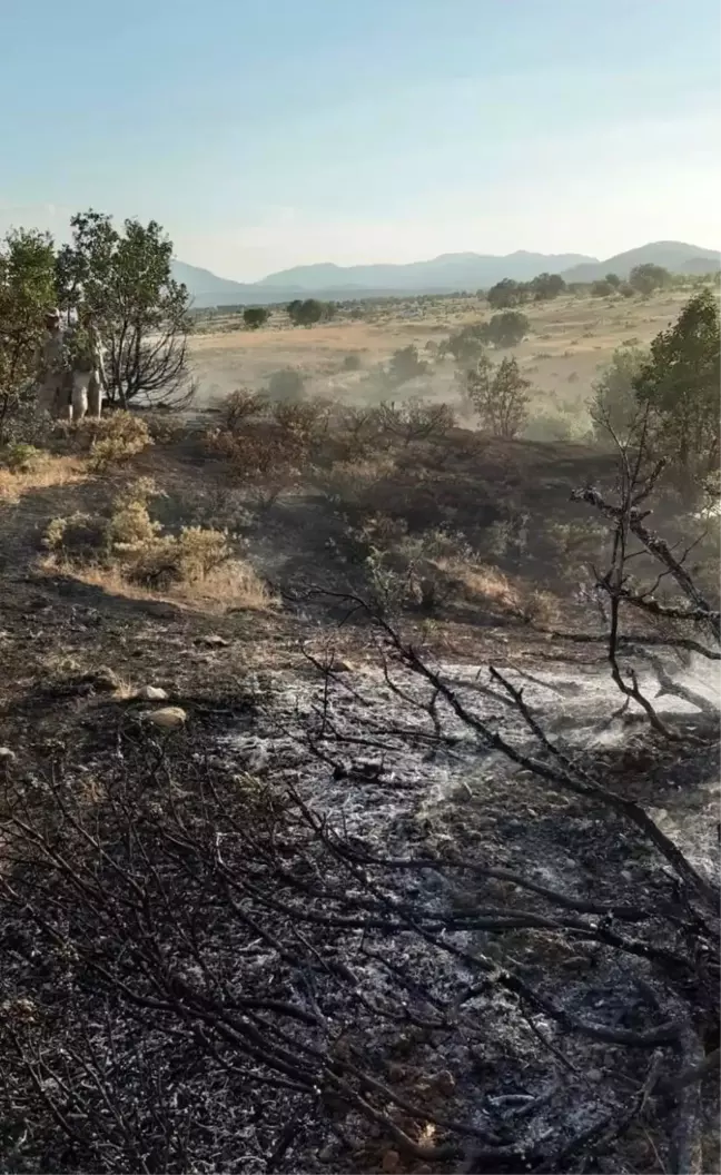 Elazığ'da ormanlık alanda çıkan yangın büyümeden söndürüldü
