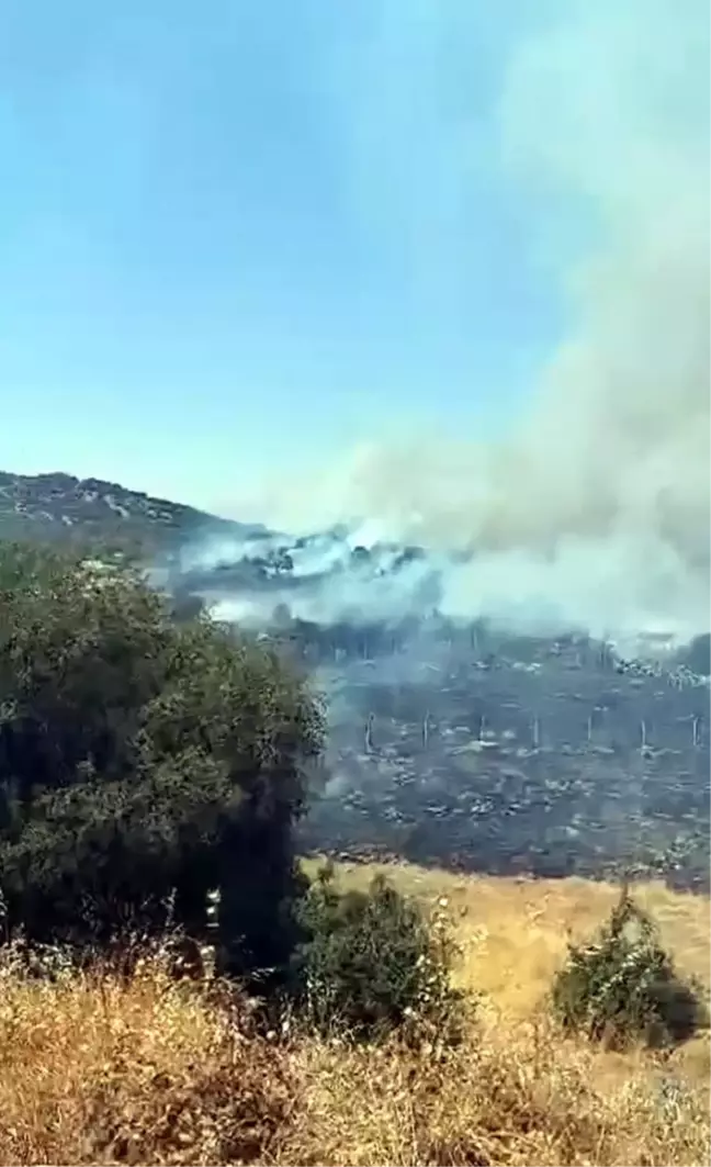 Kahramanmaraş'ta Orman Yangını