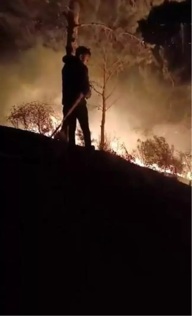 Hatay'da Orman Yangını Kontrol Altına Alındı