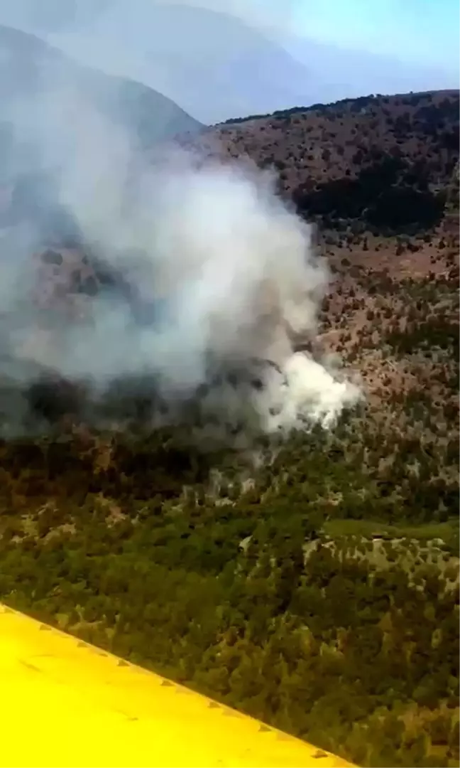 İzmir Kemalpaşa'da Orman Yangınına Havan ve Karadan Müdahele