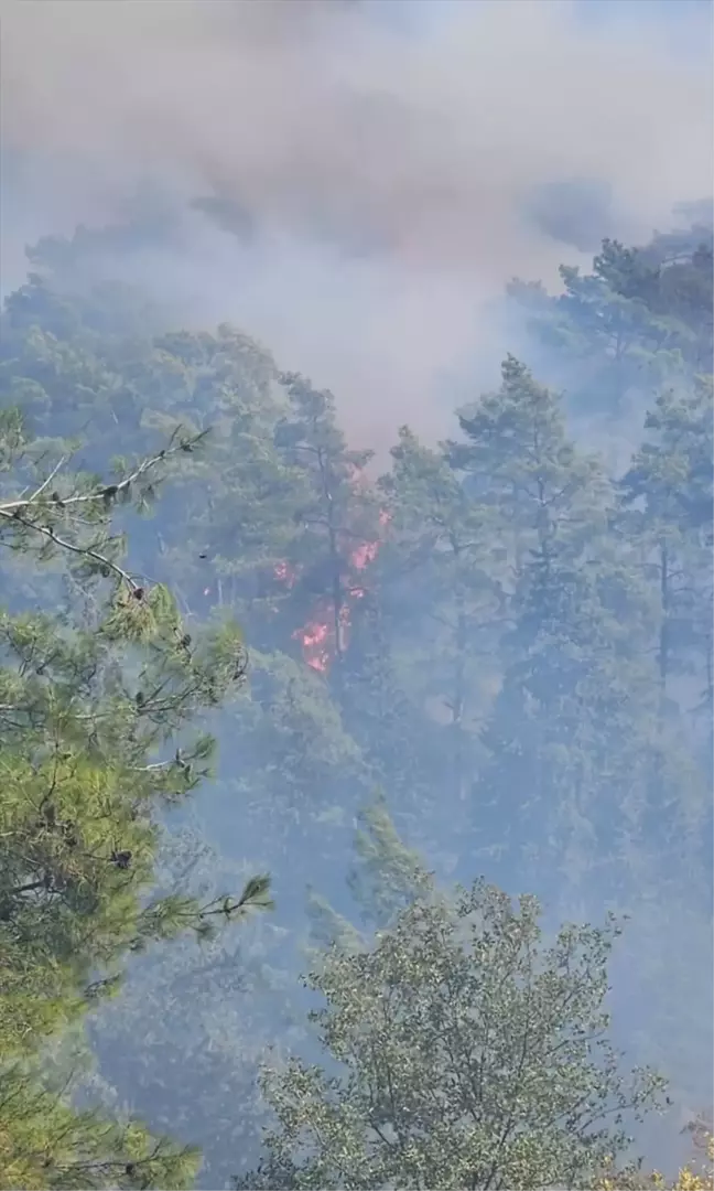 Antalya'da Orman Yangını: 2 Hektar Alan ve Bir Ev Zarar Gördü