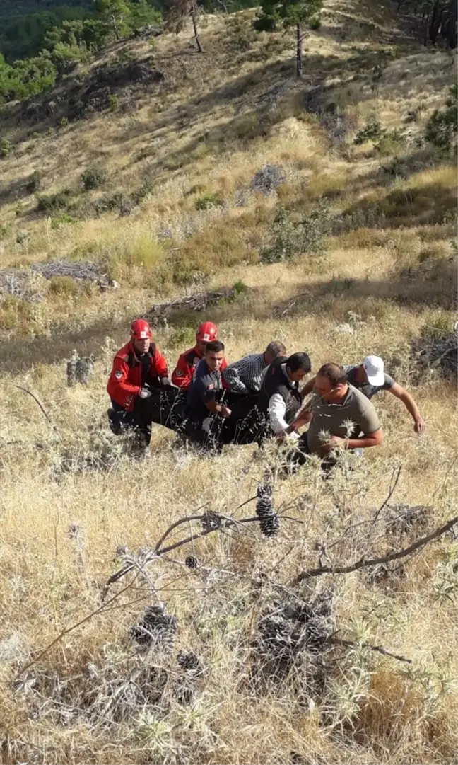 Balıkesir'de Kamyonet Şarampole Devrildi, Sürücü Hayatını Kaybetti