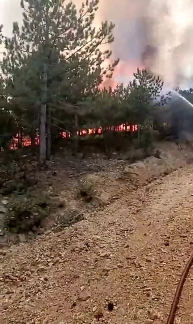 Afyonkarahisar'da çıkan orman yangını kontrol altına alındı