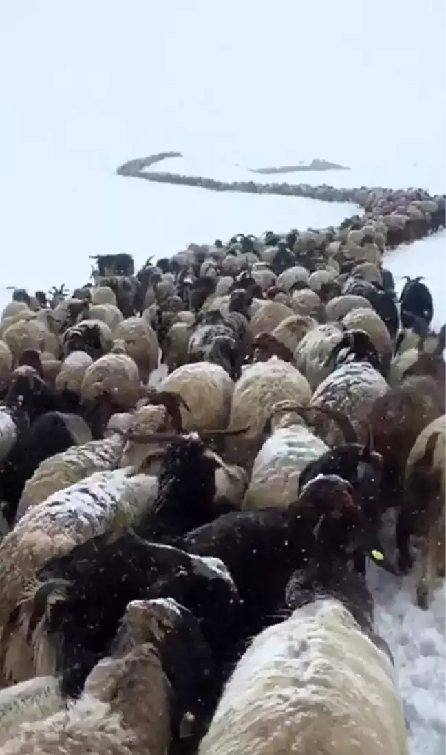 Mayıs ayında kar altında yayla yolculuğu