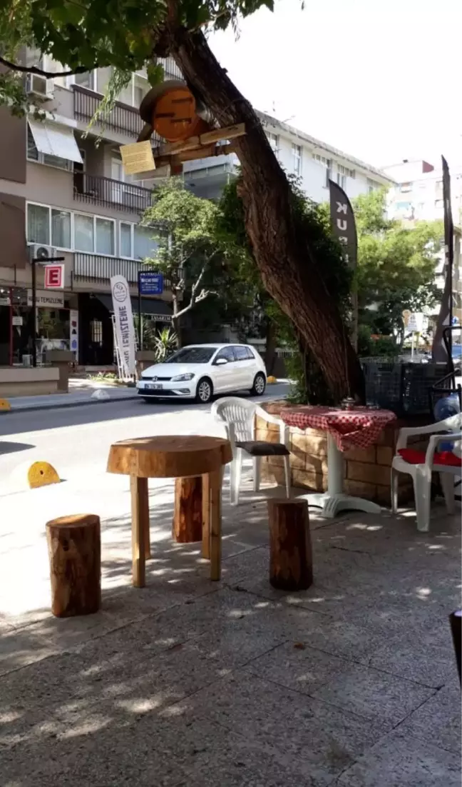 Rize'ye gidemedi, Rize'yi İstanbul'a getirdi! Kadıköy'ün ortasına kovan koydu