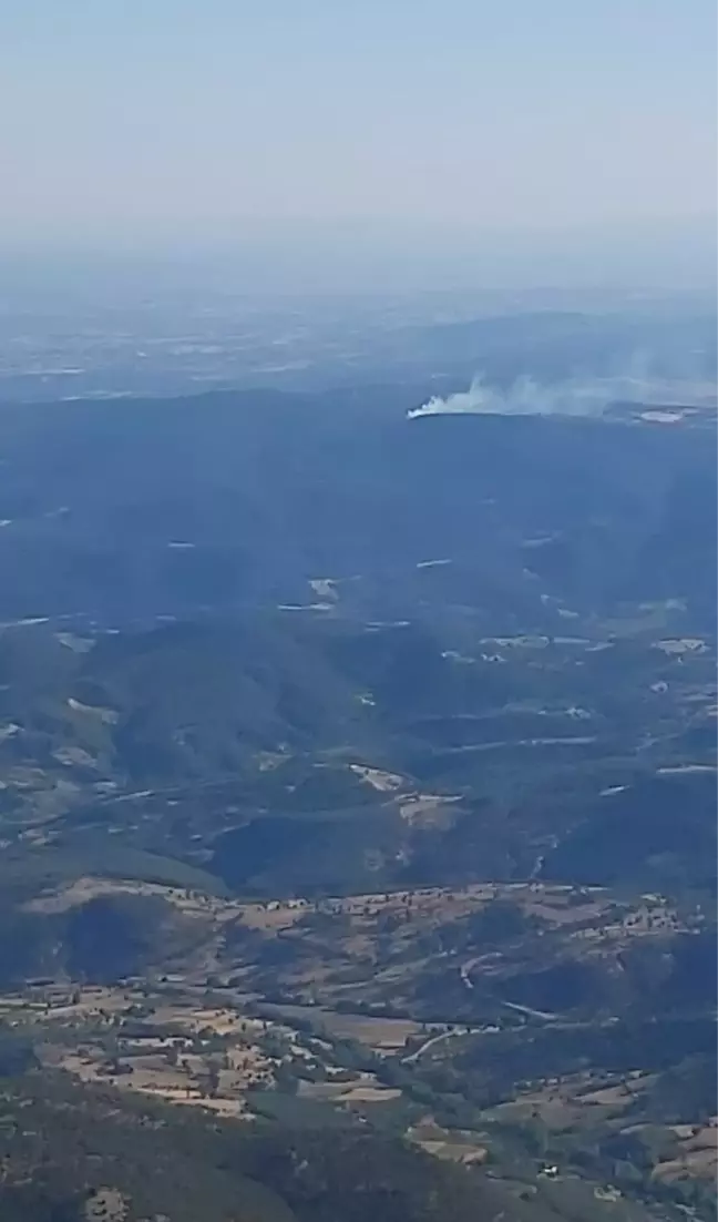 Son dakika haber... Ormanlık alanda çıkan yangın kontrol altına alındı