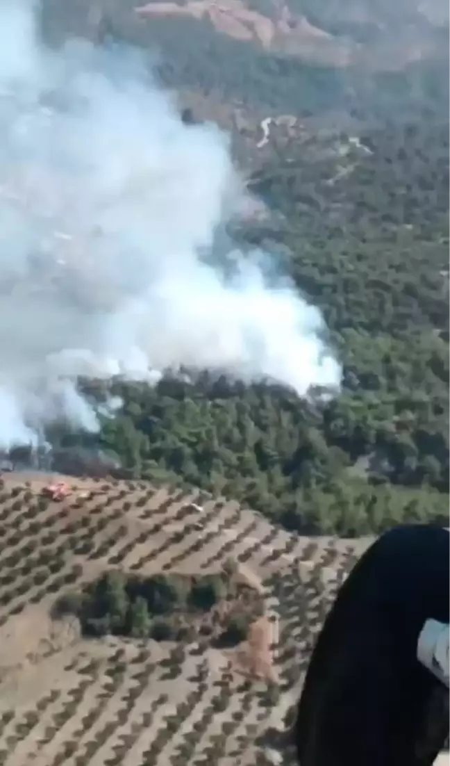 Hatay'ın Belen ilçesinde orman yangını çıktı