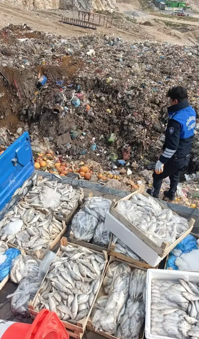 Hepsini vatandaşa yedireceklerdi! Kasa kasa imha edildi