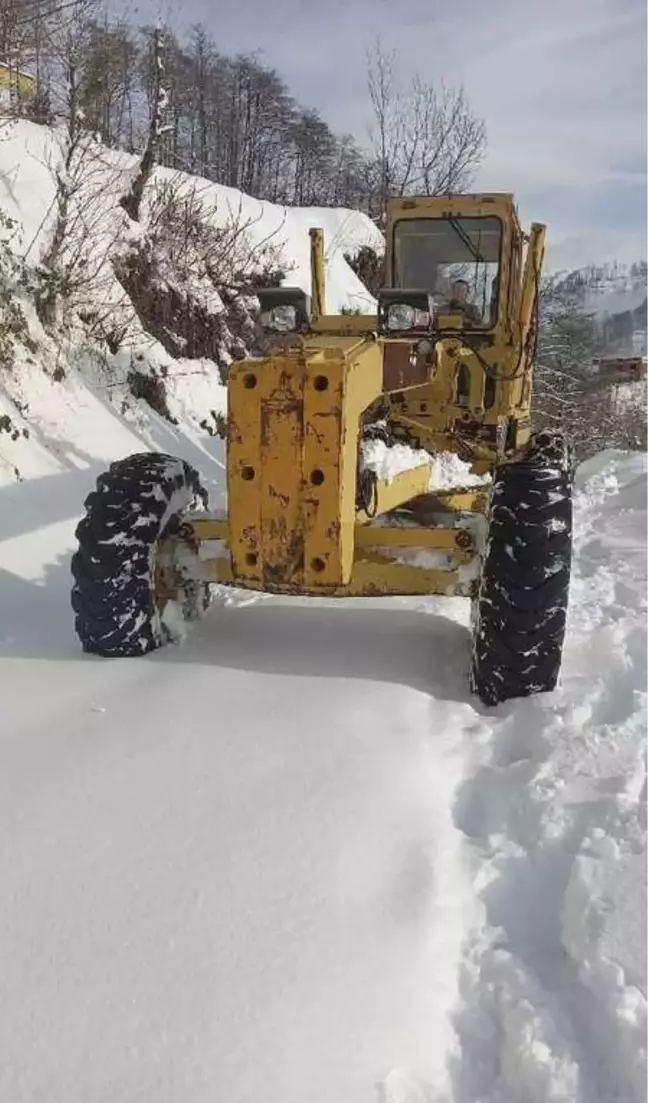 DOĞU KARADENİZ'DE 217 KÖY YOLU KARDAN KAPANDI; 5 İLÇEDE OKULLAR TATİL