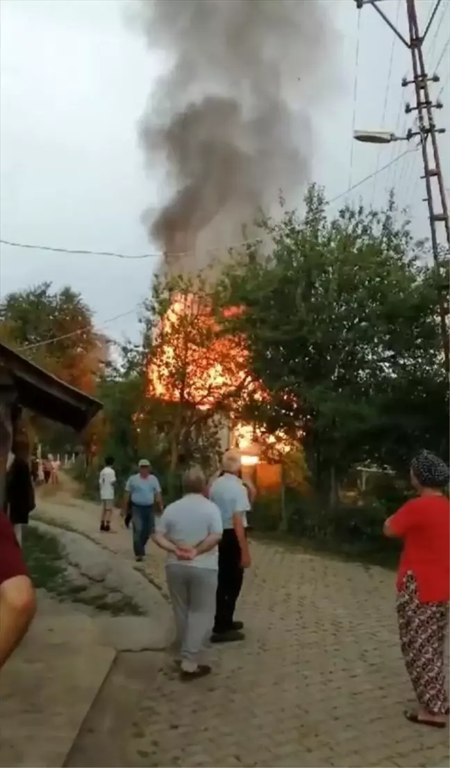 Sinop'un Erfelek ilçesinde çıkan yangında müstakil ev tamamen yandı