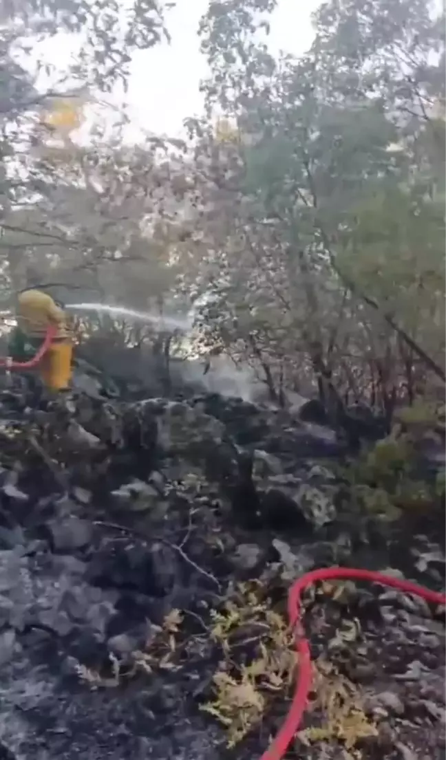 Kahramanmaraş'taki Yangın Kontrol Altına Alındı, Denizli'deki Yangına Müdahale Devam Ediyor