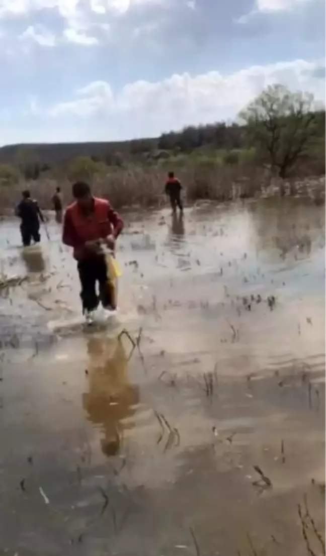 Terkos Gölü'nde yasa dışı balık avına 14 bin lira ceza