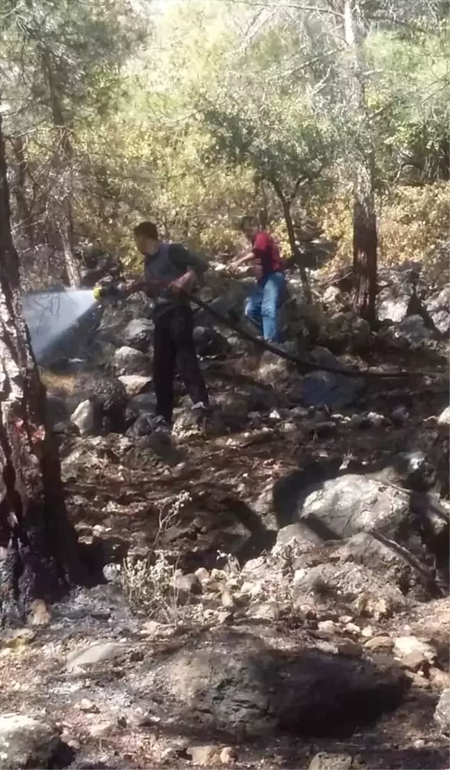 Fethiye'de Orman Yangını