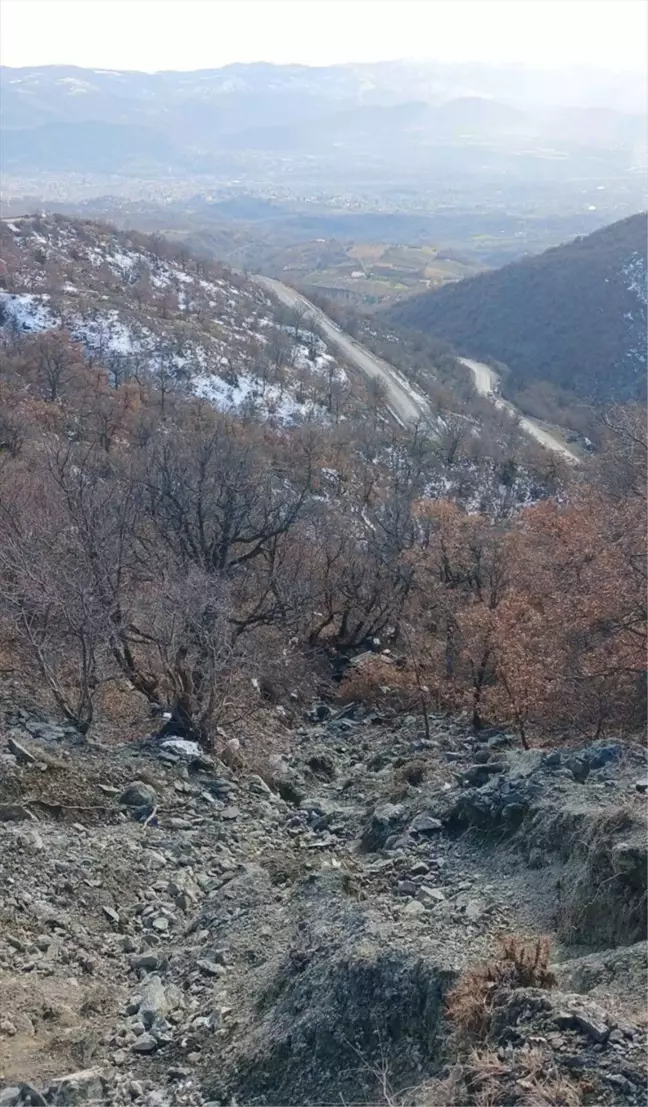 Tokat'ta Uçuruma Devrilen Otomobilde 4 Yaralı