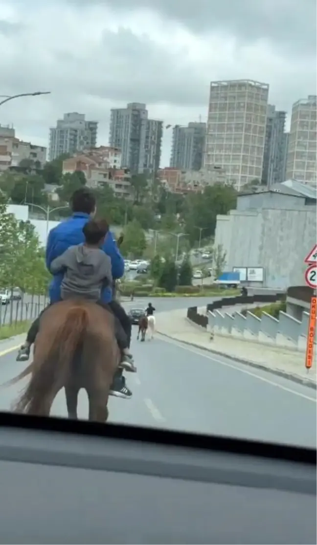 Başakşehir'de Atlarla Cadde Ortasında Tehlikeli Yolculuk