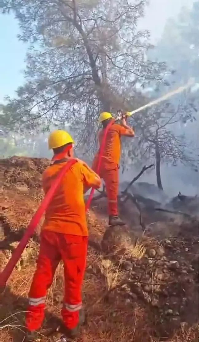 Antalya Serik'te çıkan orman yangını kontrol altına alındı