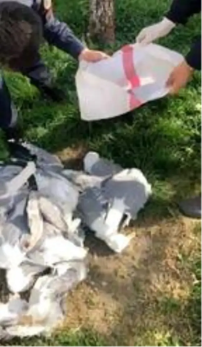 20 martı vuran avcıya 16 bin lira ceza