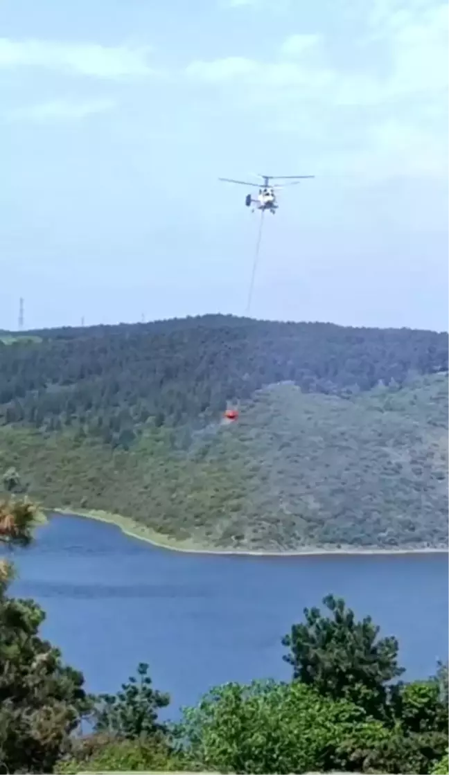 Sultangazi'de Kent Ormanı'nda Yangın Çıktı