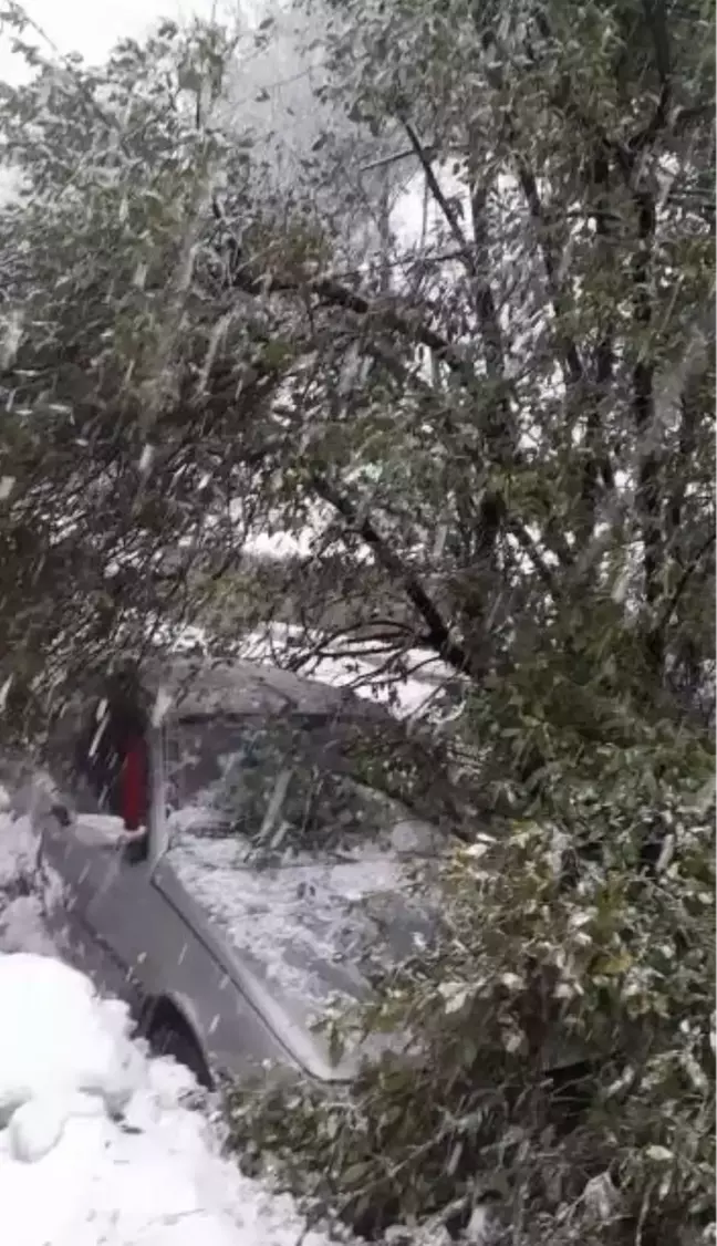 Çatalağzı beldesinde heyelan nedeniyle yol trafiğe kapatıldı