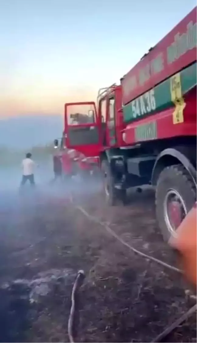 Sakarya'da Orman Yangını Kontrol Altına Alındı