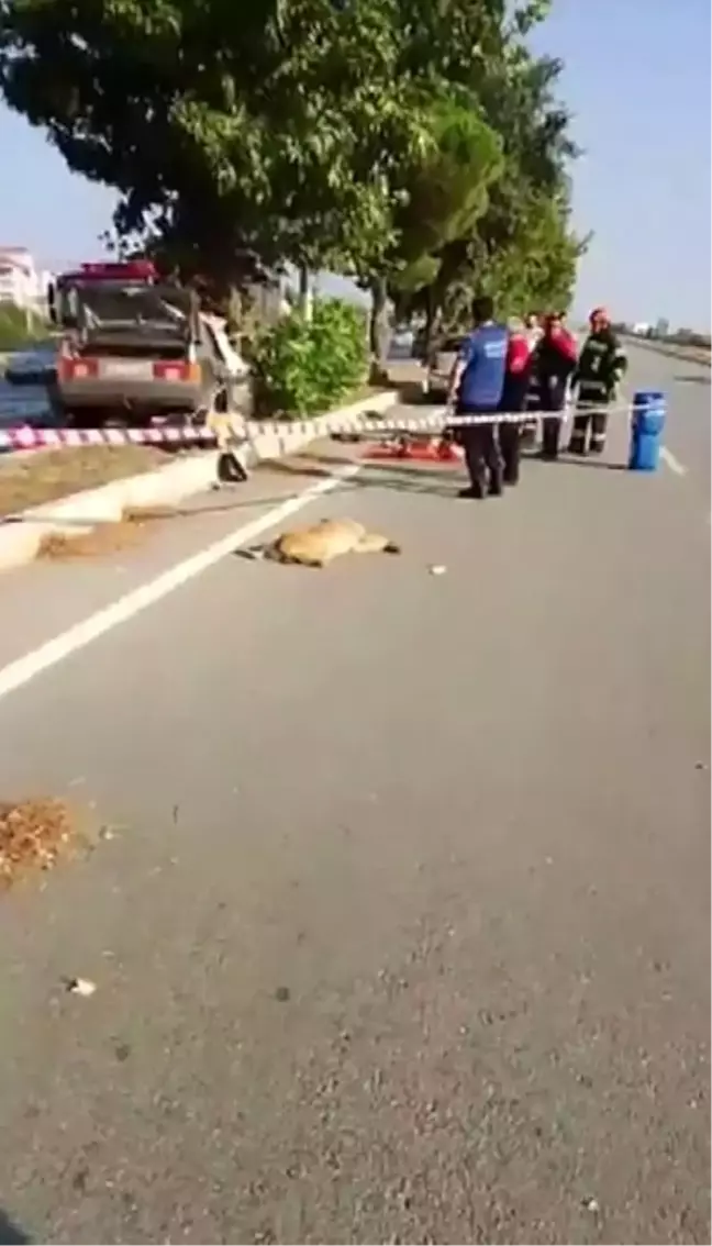 Denizli'de Köpek Nedeniyle Meydana Gelen Trafik Kazasında 1 Kişi Hayatını Kaybetti