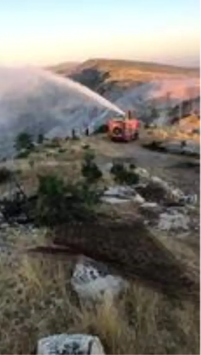 Hasankeyf'te çıkan yangında 2 bin dönümlük alan kül oldu