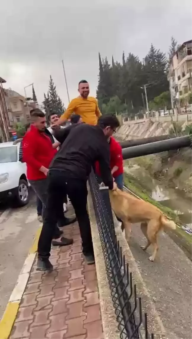 Kanala düşen köpek imece usulü kurtarıldı