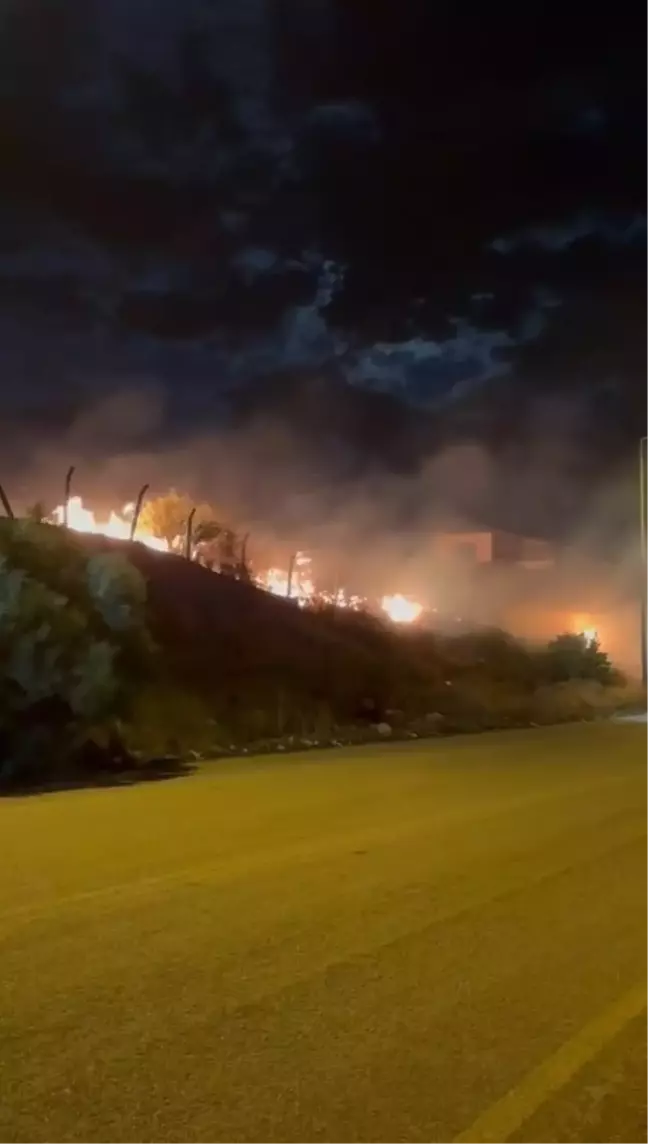 Adana'da Seyhan Baraj Gölü Kıyısında Yangın Çıktı