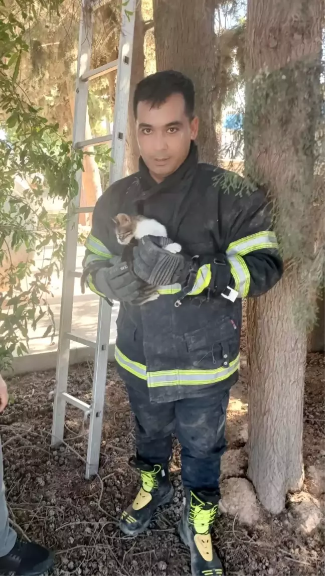 Hatay'da mahsur kalan yavru kedi itfaiye ekipleri tarafından kurtarıldı