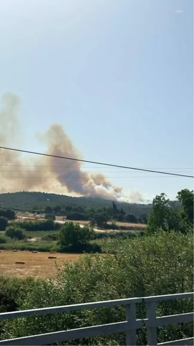 Orman Genel Müdürlüğü, Biga'daki Orman Yangınına Müdahale Ediyor