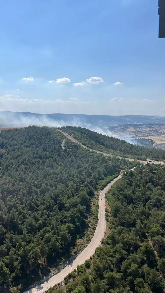 Balıkesir'de Orman Yangınlarına Müdahale Devam Ediyor