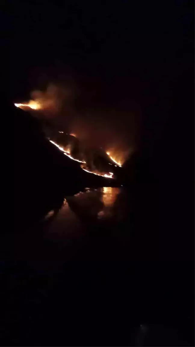 Elazığ'da meralık alanda yangın çıktı