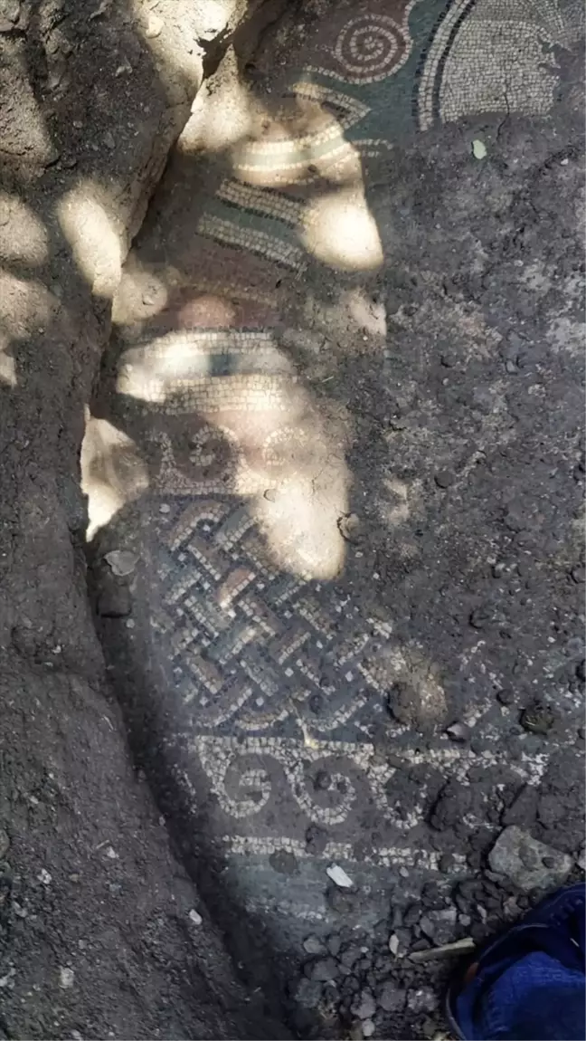 Tokat'ta Kaçak Kazıda Roma Mozaiği Bulundu, Baba-Oğul Tutuklandı