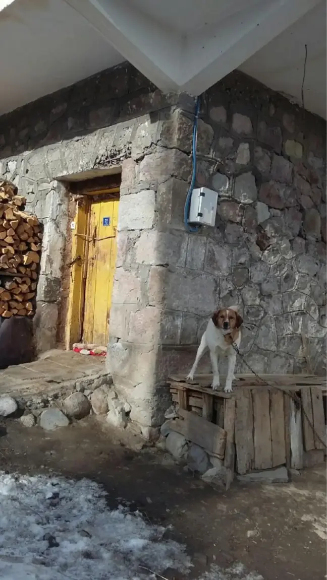 Sayaç Okumaya Giden Görevliye Köpekle Engel Oluyorlar